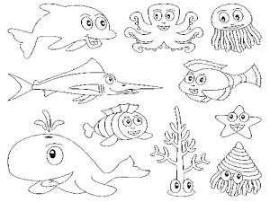 Раскраски Раскраска Животные океана морские животные