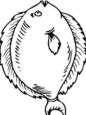 Раскраски Морские рыбы   в формате