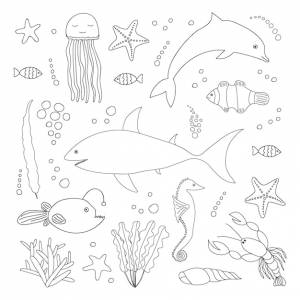 Набор больших морских животных страница раскраски векторной морской жизни ручной рисунок рыбы каракули и подводное животное