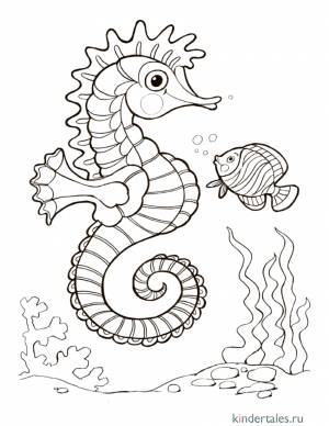 Морской конек» раскраска для детей