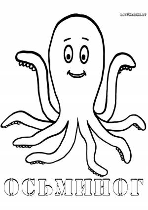 Раскраски, осьминог