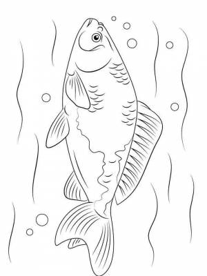 Раскраска Речные рыбы картинка  для девочек