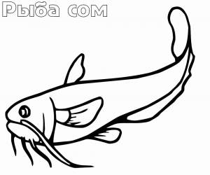 Раскраски рыб с названиями