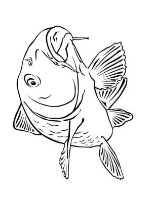 Раскраски Речные рыбы