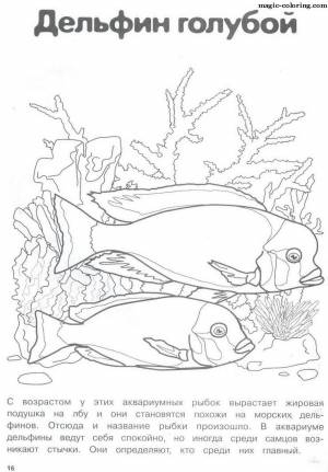 Раскраски рыбы морские с названиями