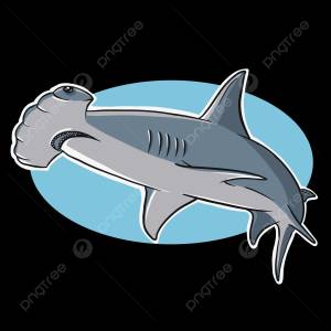 Акула молот PNG , акула рыба, молоток вектор, пескадо PNG картинки и пнг рисунок для й загрузки