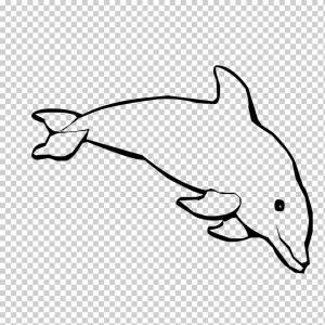 Spinner dolphin Книжка-раскраска Чайлд афалины, Черно-белые линии мультяшных дельфинов, мультипликационный персонаж, белый, морской млекопитающее png