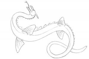 Раскраски морской дракон