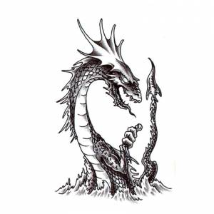 оптом Временная татуировка Морской дракон 34624 в интернет-магазине ювелирной бижутерии Gloria Crystal