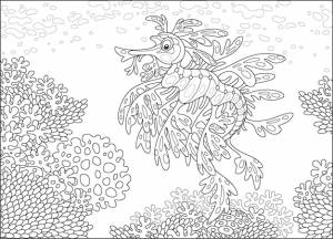 Удивительный лиственный морской дракон, плавающий над кораллами на рифе в тропическом море