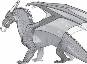 Драконья сага