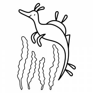 Раскраска Морской дракон среди водорослей