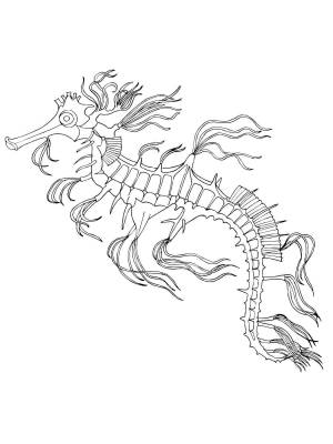 Раскраски Морской дракон