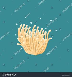 Sea Anemones Hand Drawn Vector Illustration