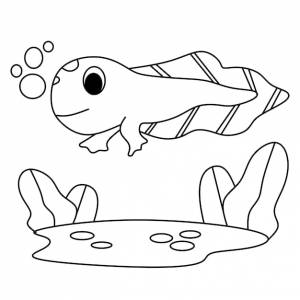 Раскраски страницы алфавиты животных мультяшный головастик