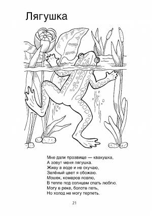 Лягушка путешественница рисунок раскраска