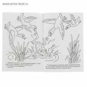 Лягушка путешественница рисунок раскраска