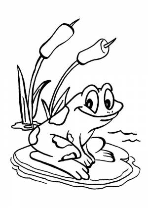 Раскраска лягушка путешественница
