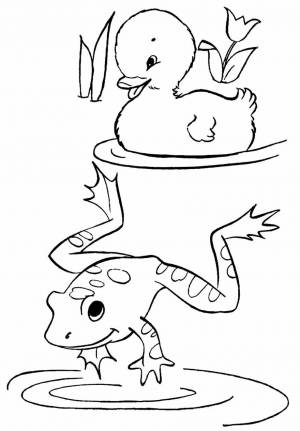 Раскраски лягушка и рыбка