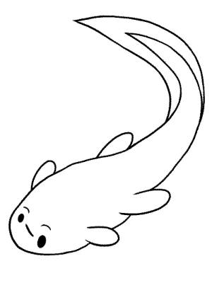 Раскраски Головастик