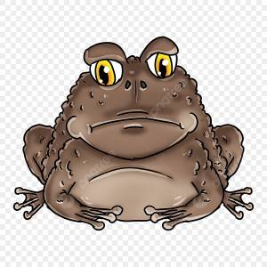 Коричневая лягушка рисунок