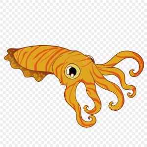 Каракатицы PNG рисунок, картинки и пнг прозрачный для й загрузки