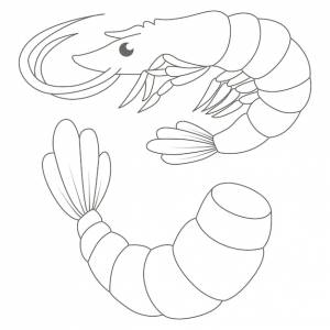 Раскраски креветка раскраски для детей