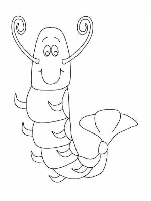 Раскраски Раскраска Креветка 