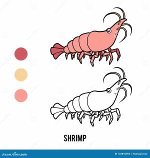 Книжка-раскраска, креветка иллюстрация вектора