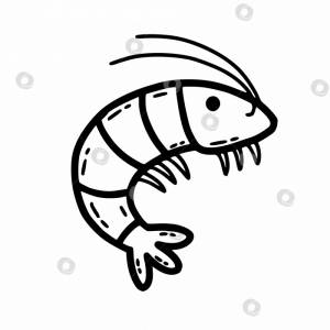 Симпатичные креветки на белом фоне