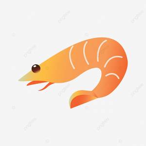 приготовленные креветки PNG , Креветка, вареный, мультфильм PNG картинки и пнг рисунок для й загрузки