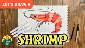 как нарисовать креветку