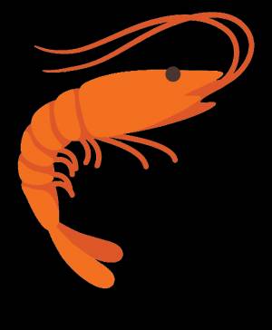 Рисунок для детей креветка