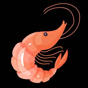 Рисунок для детей креветка