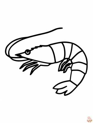 Раскраски с креветками