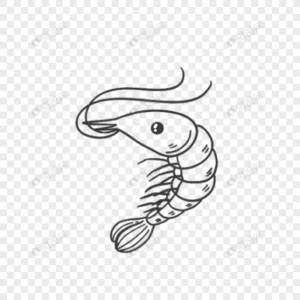 Рисование линии креветок изображение_Фото номер 401693096_PNG Формат изображения_ru