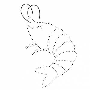 Креветка животное исправлено практика рисовать мультфильм каракули каваи аниме раскраска милая иллюстрация