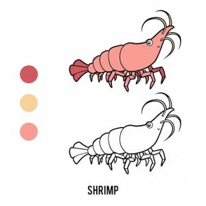 Книжка-раскраска для детей, мультяшное животное креветка