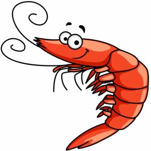 Рисунок для детей креветка