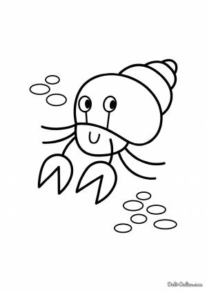 Раскраска Краб-отшельник на морском дне