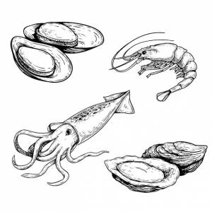Набор эскизов морепродуктов