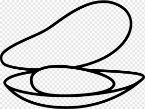 Oyster Computer Icons Conch Мидия, раковина, cdr, морепродукты, черный png