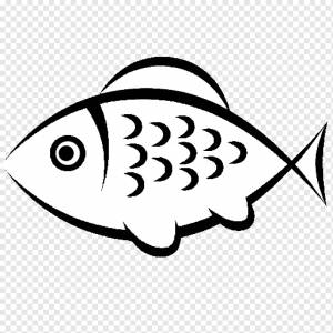 Рыба Компьютерные иконки, рыба, белый, морепродукты, животные png