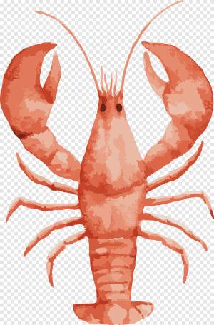 Омар Акварельная живопись Рисование морепродуктов, Окрашенный большой лобстер, еда, ракообразные png