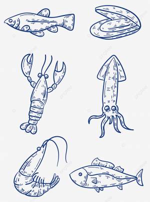 рисунок рисованной простой линии японские морепродукты PNG , рисунок крыла, еда рисунок, морской рисунок PNG картинки и пнг рисунок для й загрузки