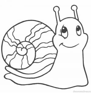 Раскраски Улитка рисунок для детей