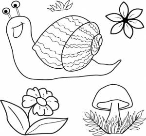 Книжка-раскраска