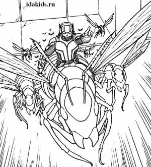 Раскраски Человек Муравей