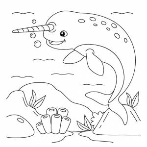 Раскраска нарвал для детей