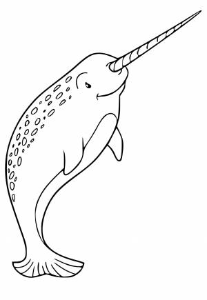 Раскраска Нарвал Настоящий